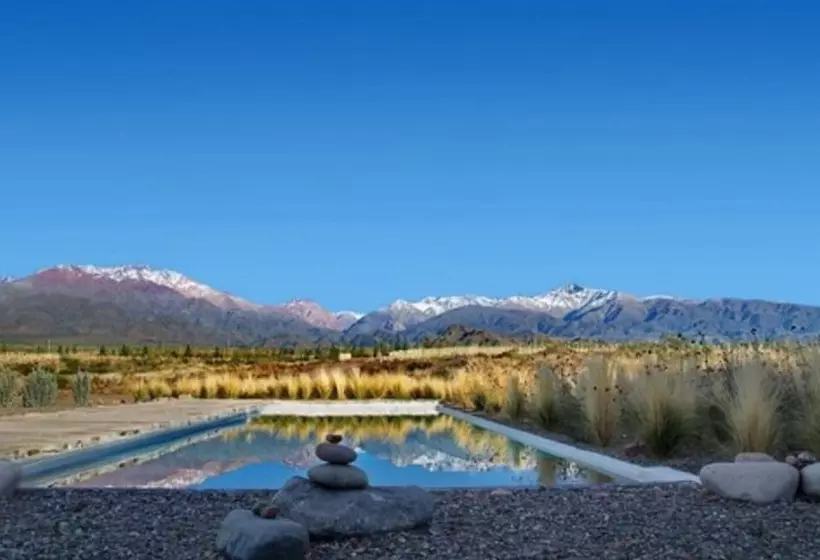 Fotos del hotel Alpasion Lodge:  13