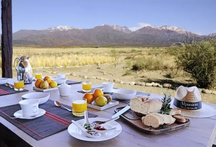 Fotos del hotel Alpasion Lodge:  9