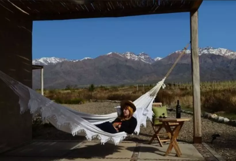 Fotos del hotel Alpasion Lodge:  18