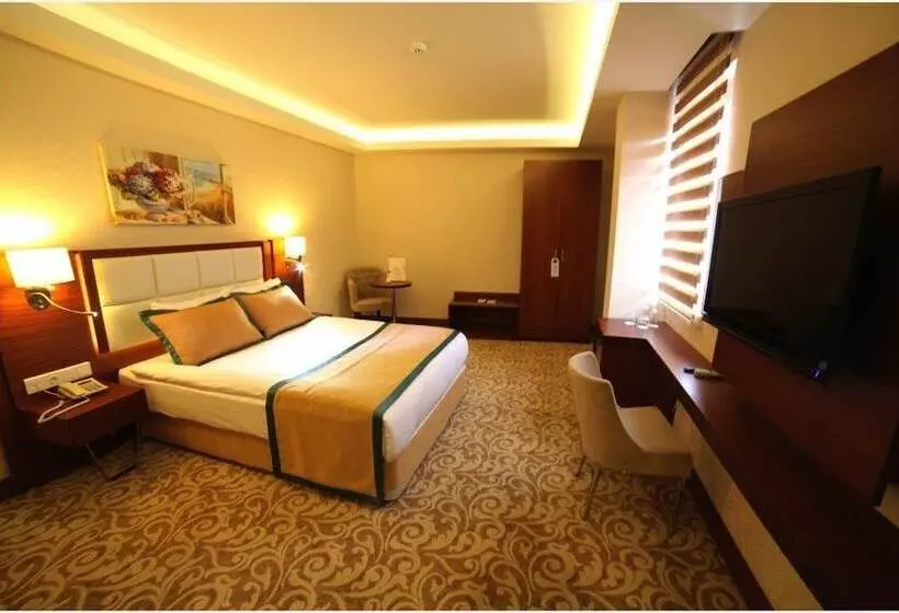 Fotos del hotel Asrin Business Hotel:  2