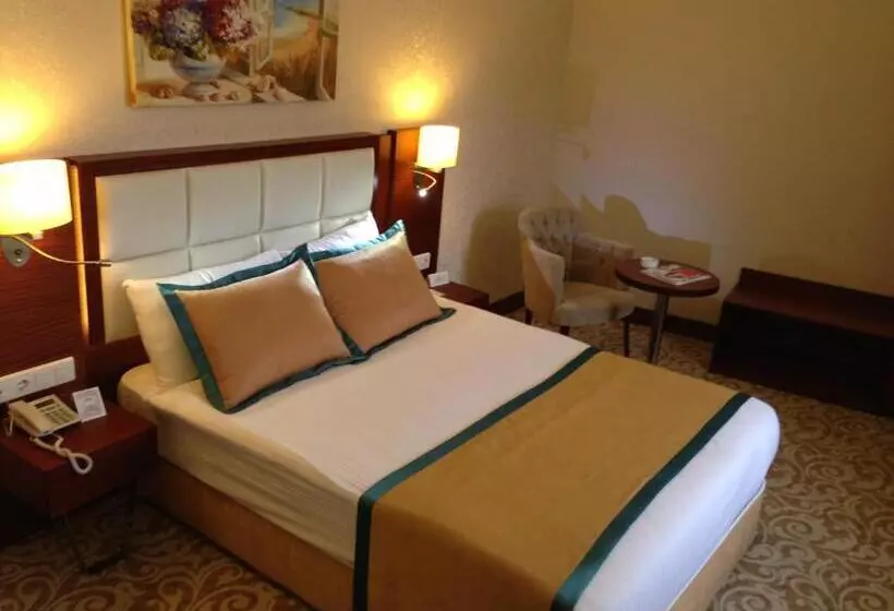 Fotos del hotel Asrin Business Hotel:  18