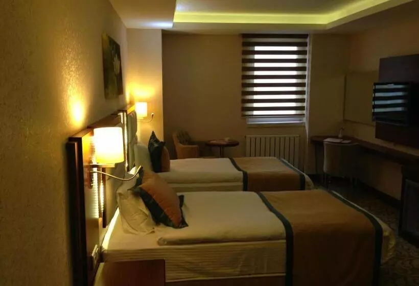 Fotos del hotel Asrin Business Hotel:  24