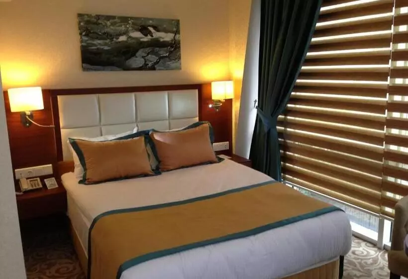 Fotos del hotel Asrin Business Hotel:  19