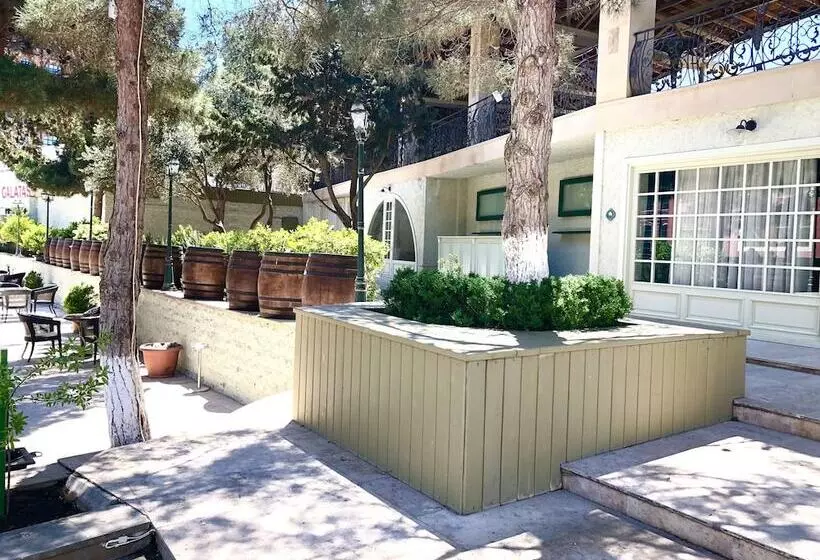 Fotos del hotel Dubai International:  17