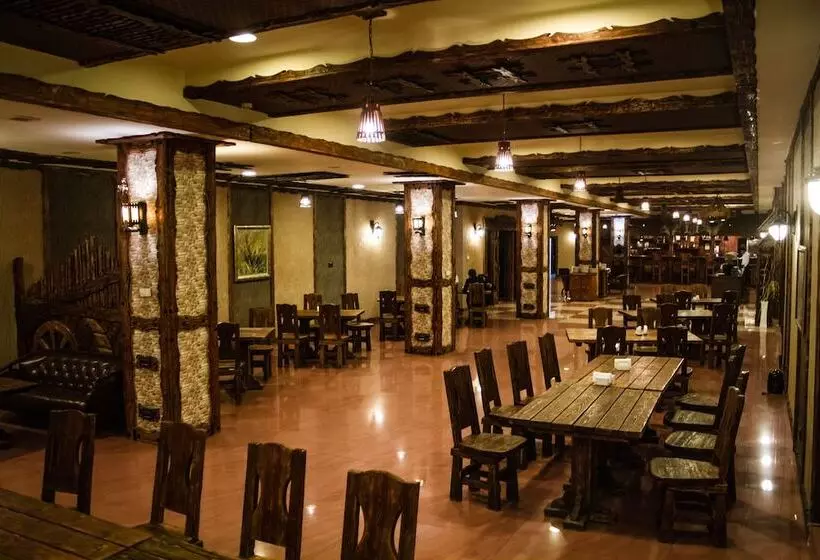 Fotos del hotel Dubai International:  7