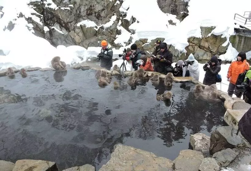 Fotos del hotel Ichibokaku:  15