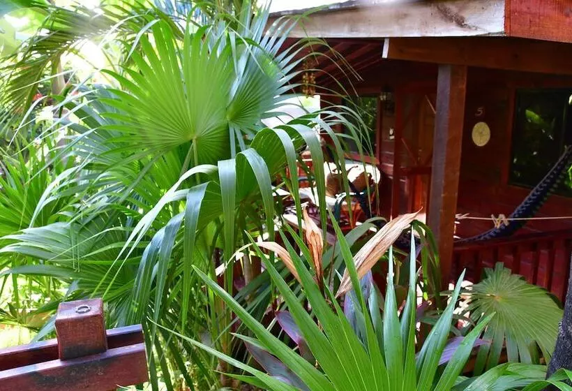 Fotos del hotel West Bay Lodge:  24