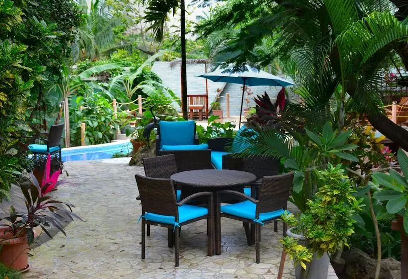 Fotos del hotel West Bay Lodge:  15