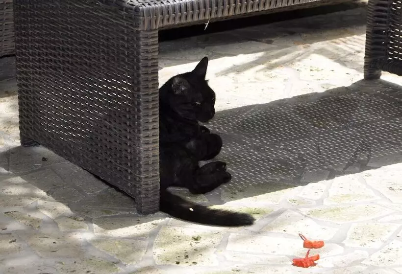 Fotos del hotel West Bay Lodge:  21