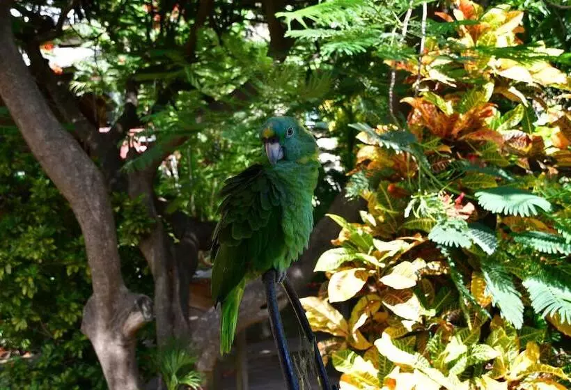 Fotos del hotel West Bay Lodge:  13