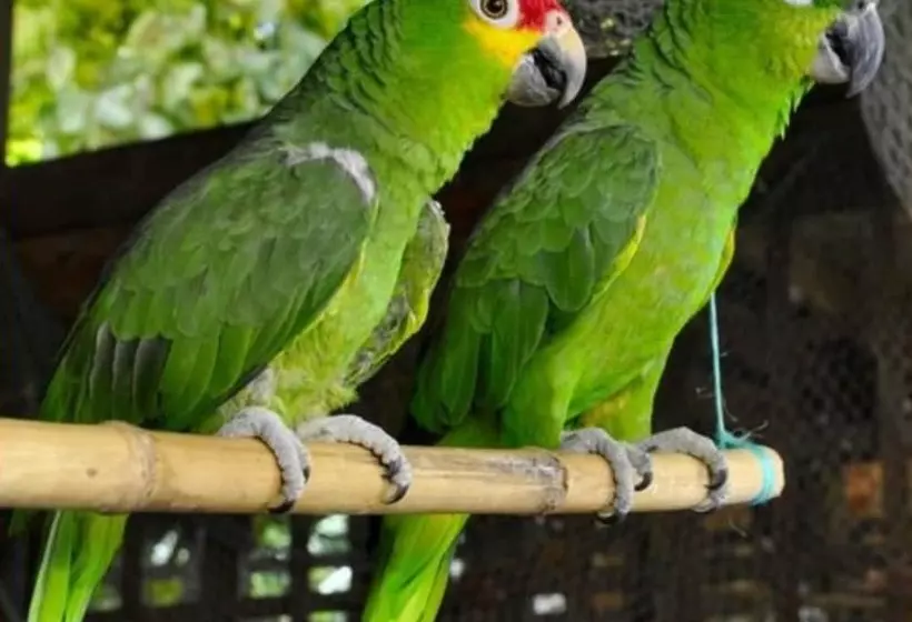 Fotos del hotel West Bay Lodge:  18