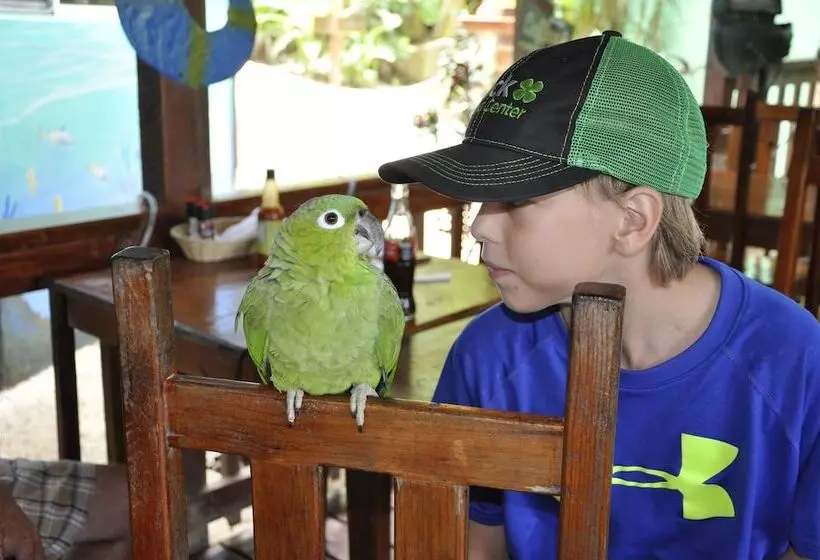 Fotos del hotel West Bay Lodge:  25