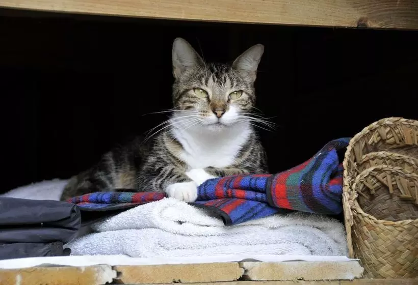 Fotos del hotel West Bay Lodge:  5