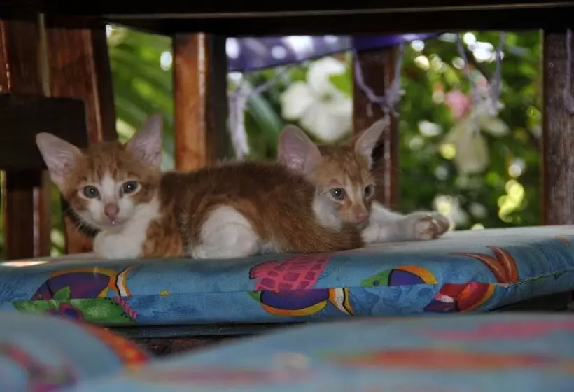 Fotos del hotel West Bay Lodge:  20