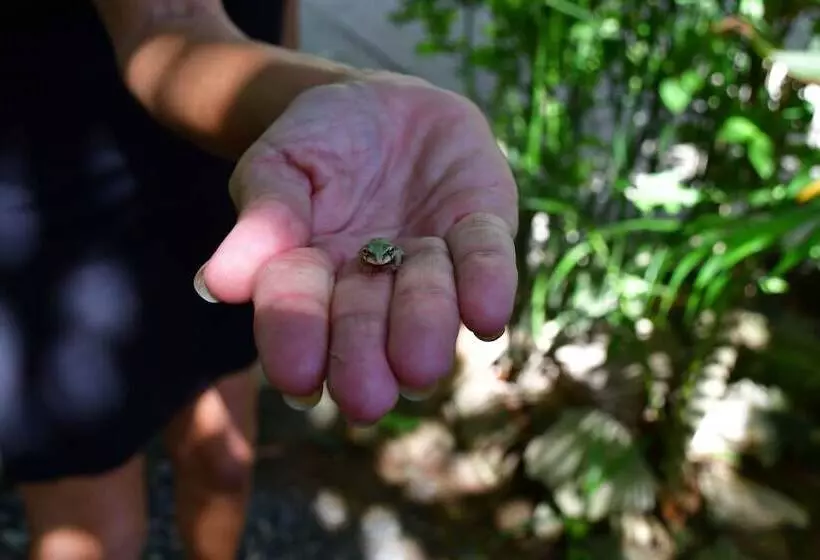 Fotos del hotel West Bay Lodge:  16