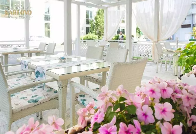 Fotos del hotel Karlovo:  6