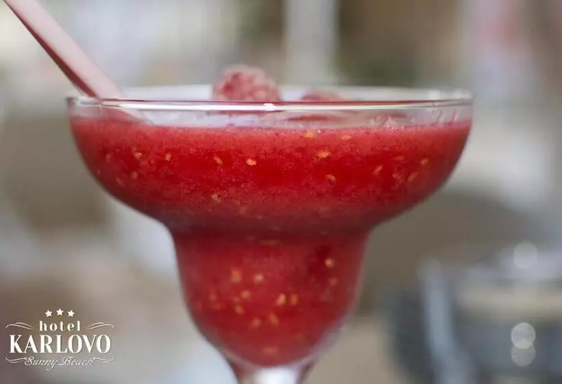 Fotos del hotel Karlovo:  15