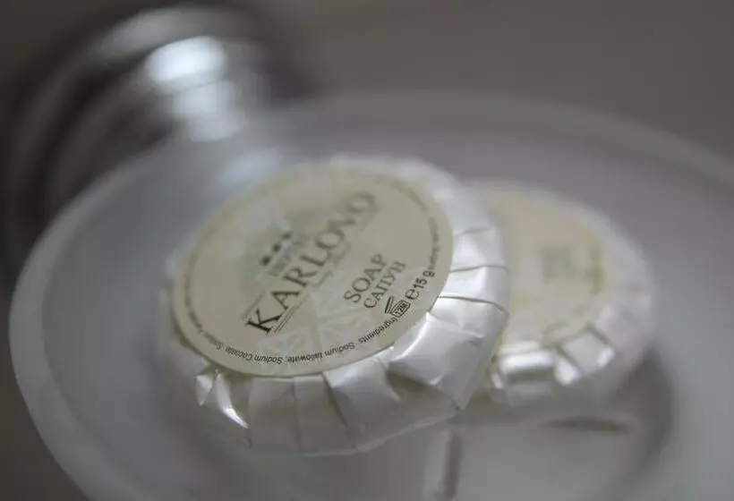 Fotos del hotel Karlovo:  9