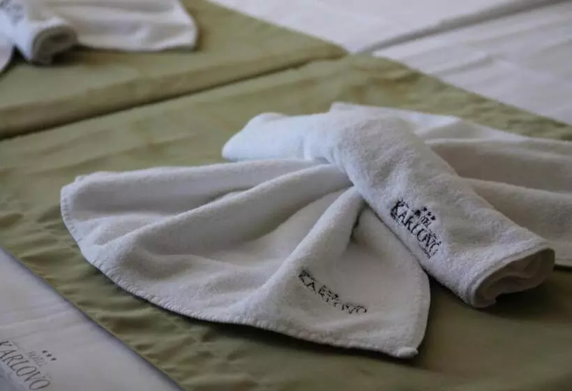 Fotos del hotel Karlovo:  22