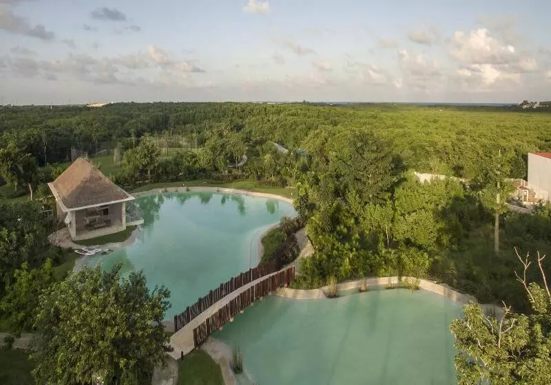 Fotos del hotel Platinum Yucatan Princess Adults Only - All Inclusive:  26