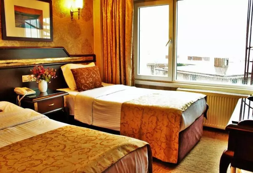 Fotos del hotel Sultanahmet Park:  12