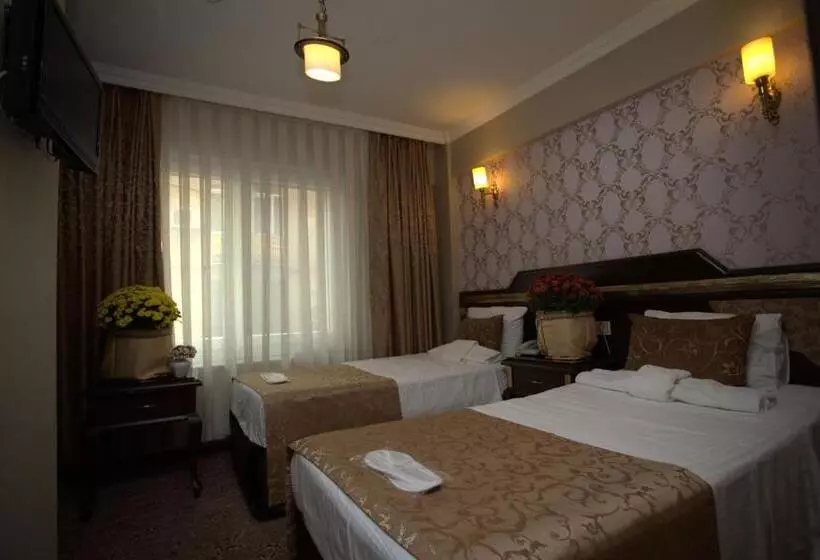 Fotos del hotel Sultanahmet Park:  19