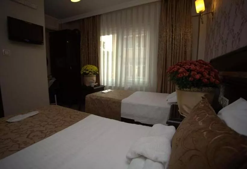 Fotos del hotel Sultanahmet Park:  20