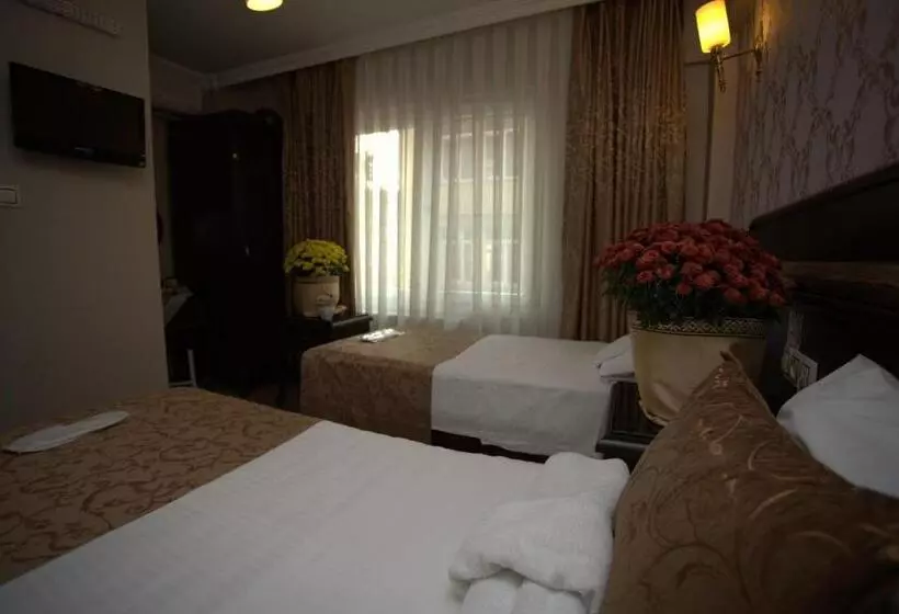 Fotos del hotel Sultanahmet Park:  18