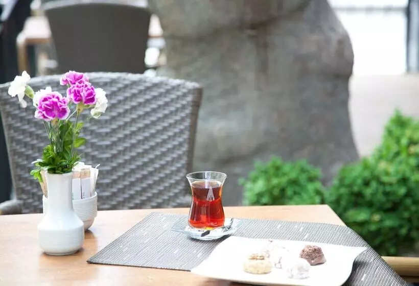 Fotos del hotel The Parma  & Spa Taksim:  5