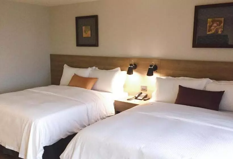 Fotos del hotel Just Sleep Kaohsiung Zhongzheng:  24