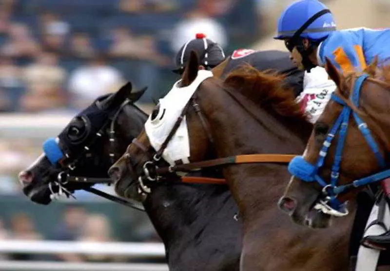 Fotos del hotel Residence Inn San Diego Oceanside:  7