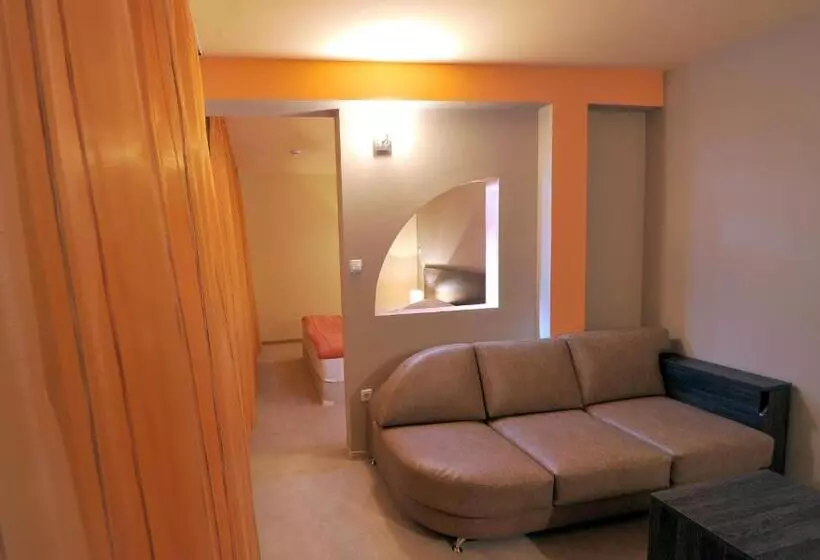 Fotos del hotel Vitoshko Lale Hotel:  25