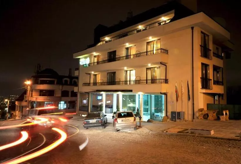 Fotos del hotel Vitoshko Lale Hotel:  15