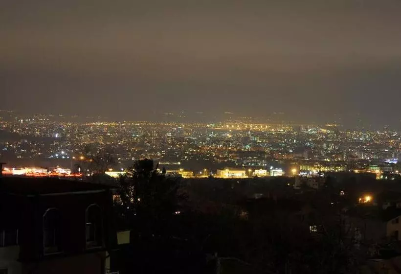 Fotos del hotel Vitoshko Lale Hotel:  7