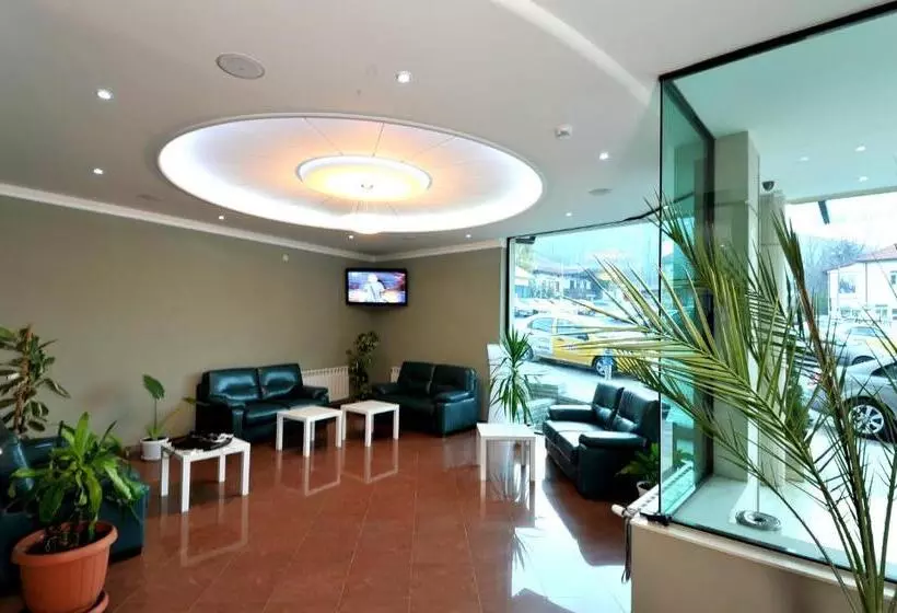 Fotos del hotel Vitoshko Lale Hotel:  10