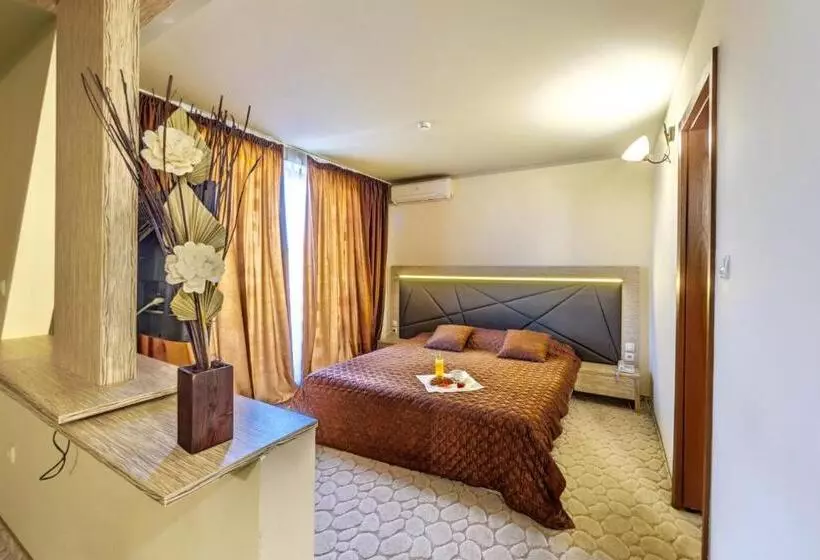 Fotos del hotel Vitoshko Lale Hotel:  16