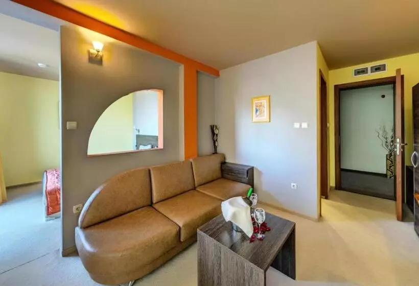 Fotos del hotel Vitoshko Lale Hotel:  23