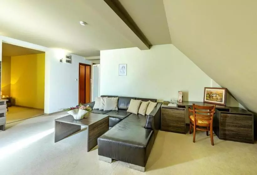 Fotos del hotel Vitoshko Lale Hotel:  20