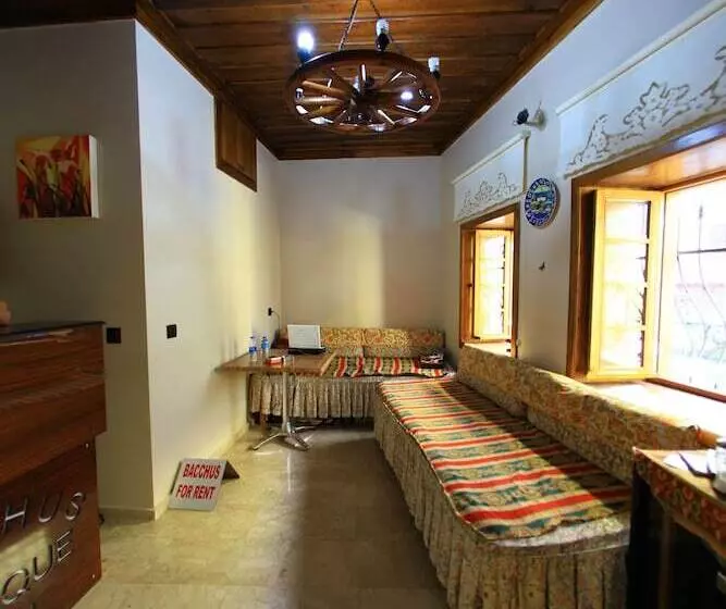 Fotos del hotel Bacchus Pension:  4