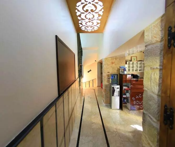 Fotos del hotel Bacchus Pension:  3