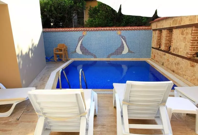 Fotos del hotel Bacchus Pension:  7