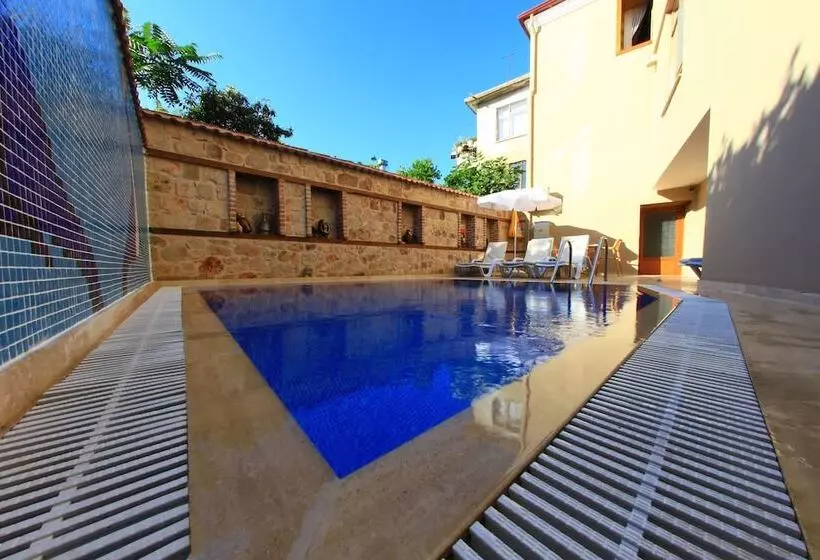 Fotos del hotel Bacchus Pension:  5