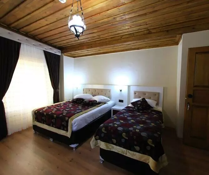 Fotos del hotel Bacchus Pension:  9