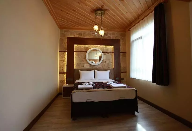 Fotos del hotel Bacchus Pension:  20