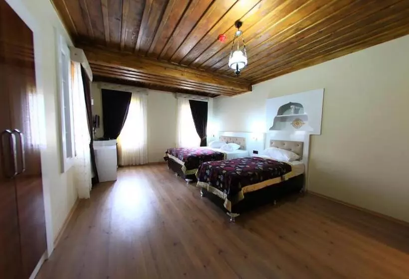 Fotos del hotel Bacchus Pension:  8