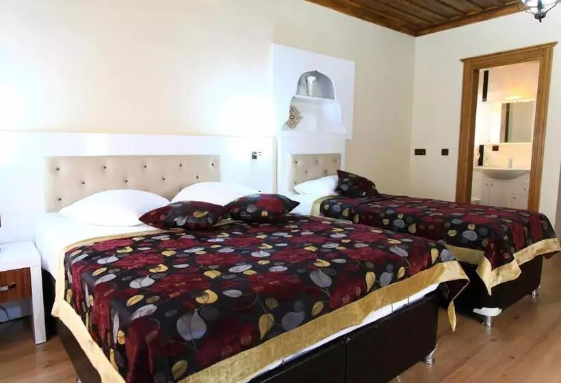 Fotos del hotel Bacchus Pension:  17