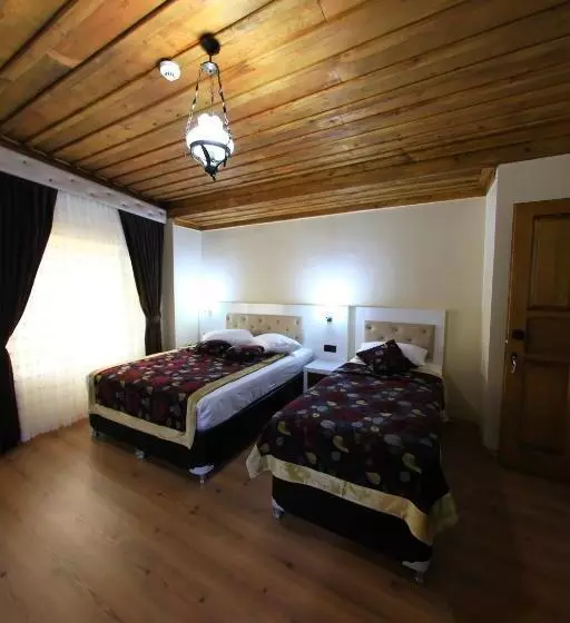 Fotos del hotel Bacchus Pension:  14