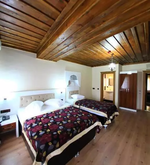 Fotos del hotel Bacchus Pension:  6