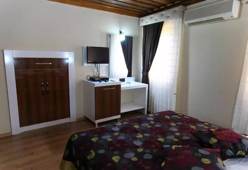 Fotos del hotel Bacchus Pension:  12