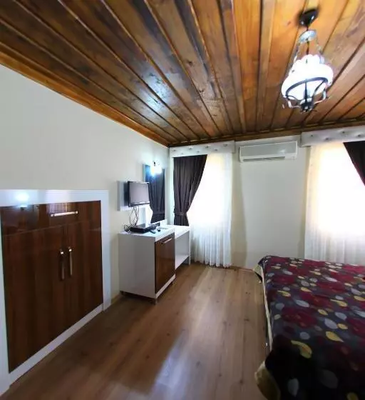 Fotos del hotel Bacchus Pension:  10